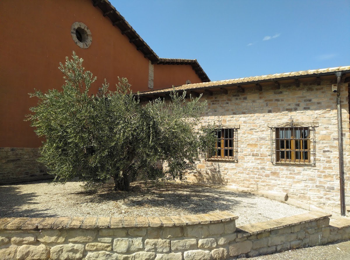 Bodegas y Viñedos Alzania