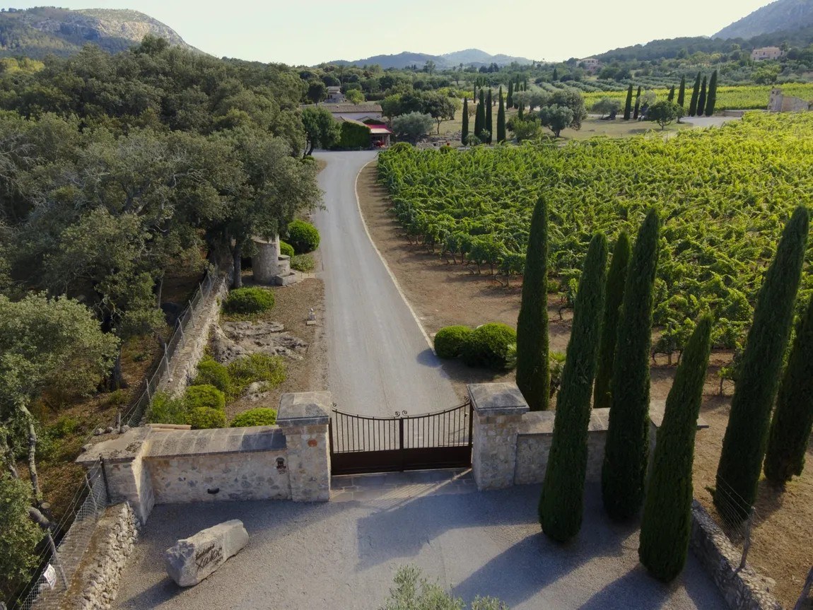 Bodegues Xaloc