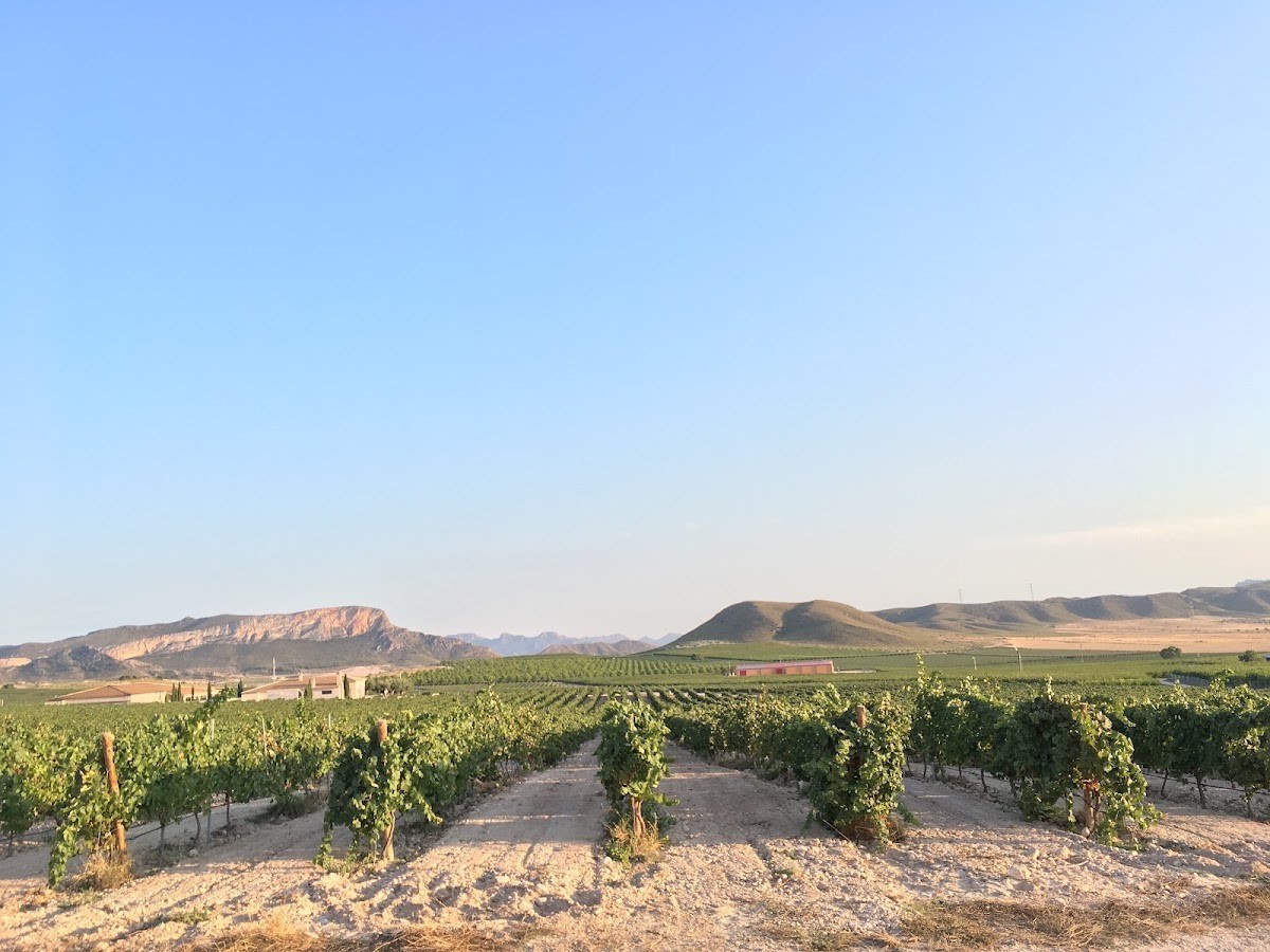 Bodegas Hijos de Juan Gil