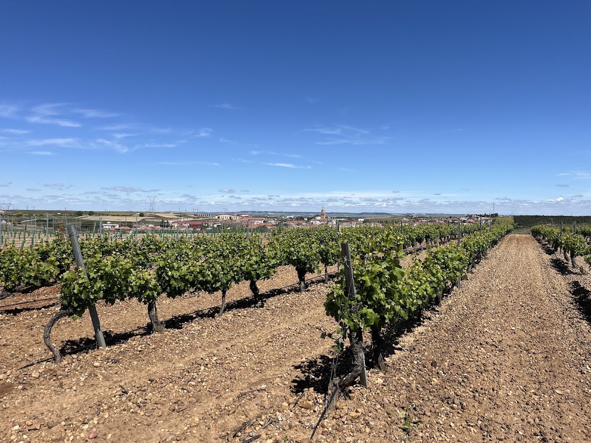 Bodega El perro verde