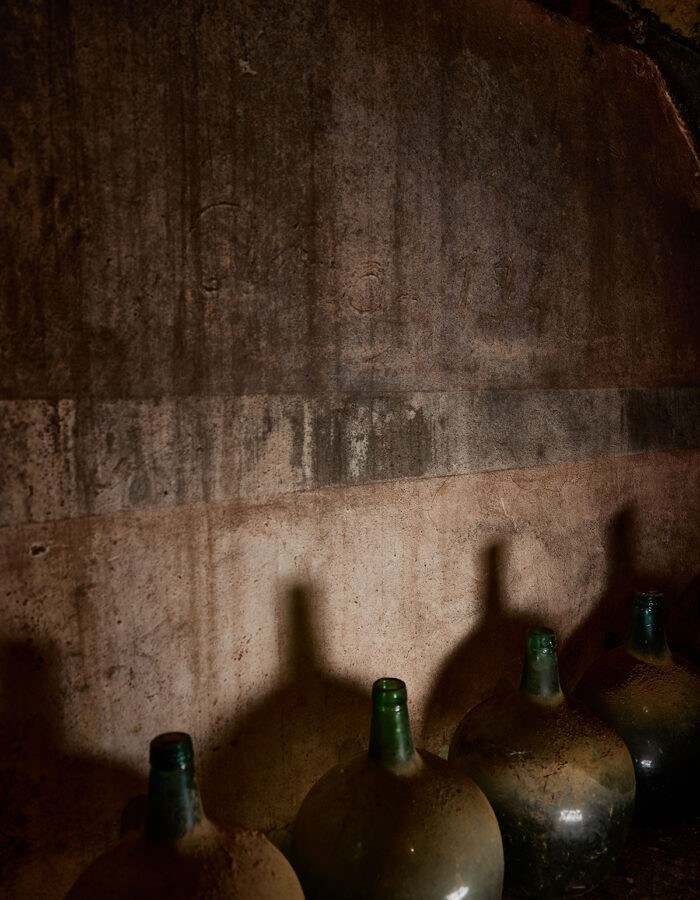 César Príncipe Bodegas