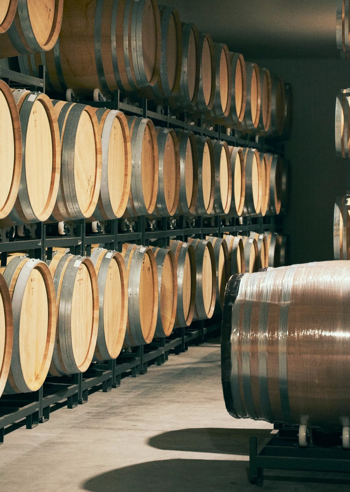 SEI SOLO BODEGAS Y VIÑEDOS
