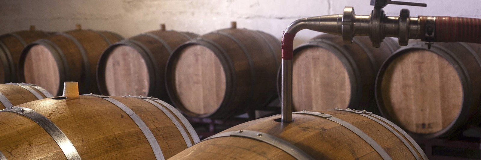 Bodegas Veracruz