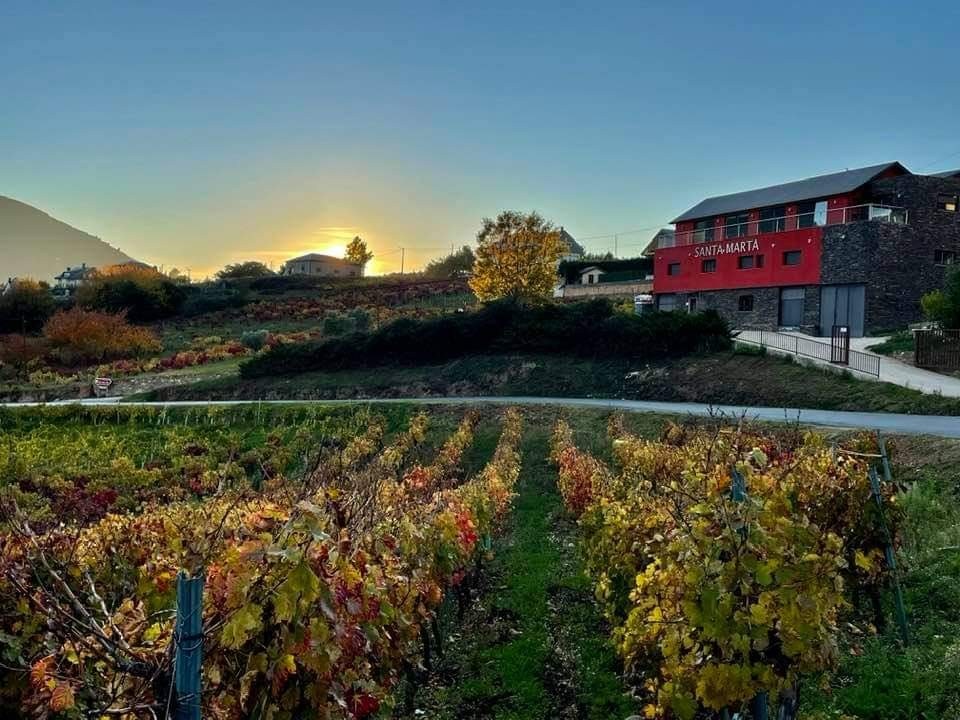 BODEGAS SANTA MARTA