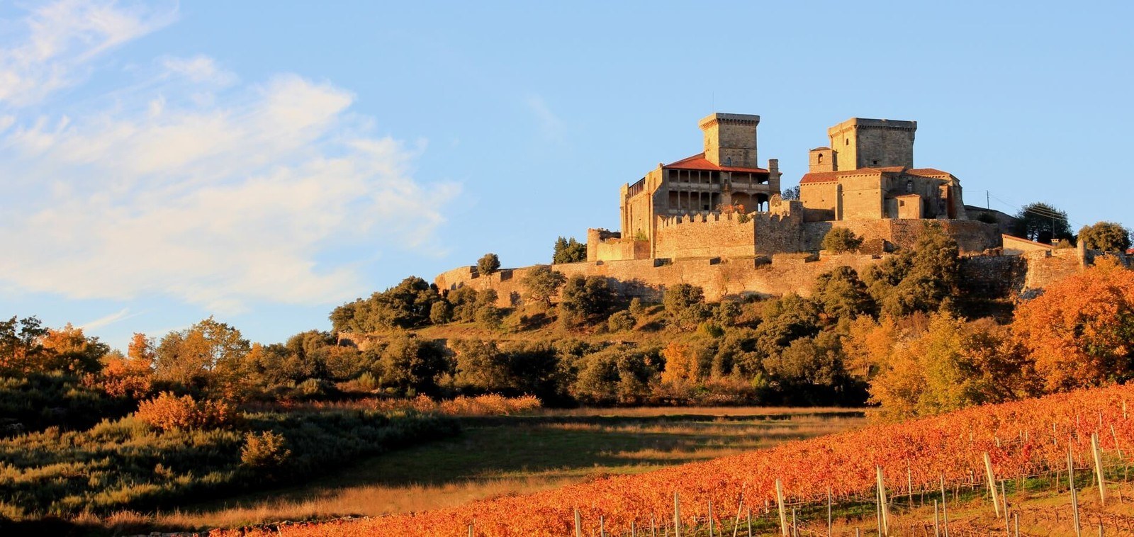 Ruta do Viño Monterrei