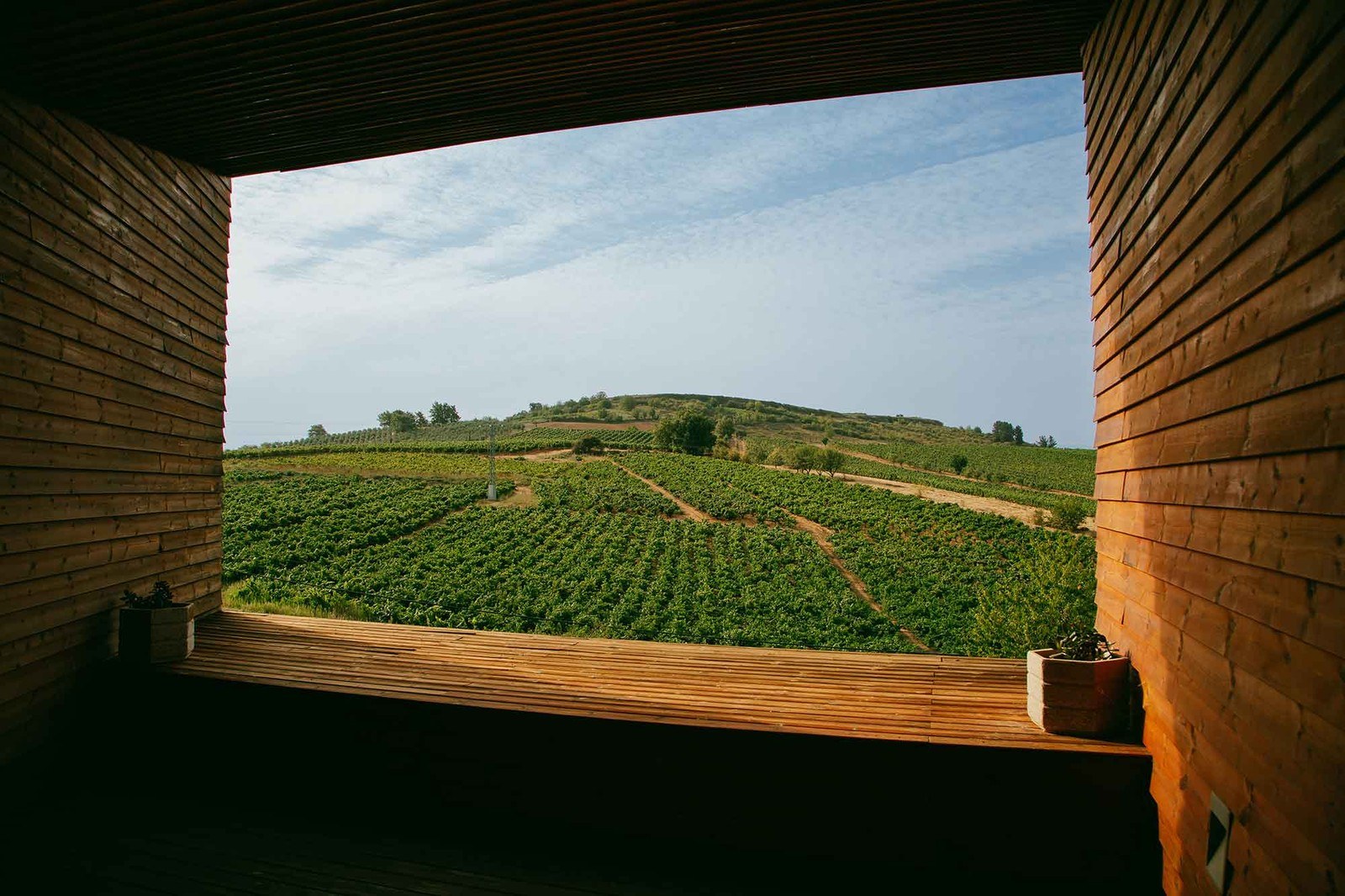 Losada Vinos de Finca S.A.