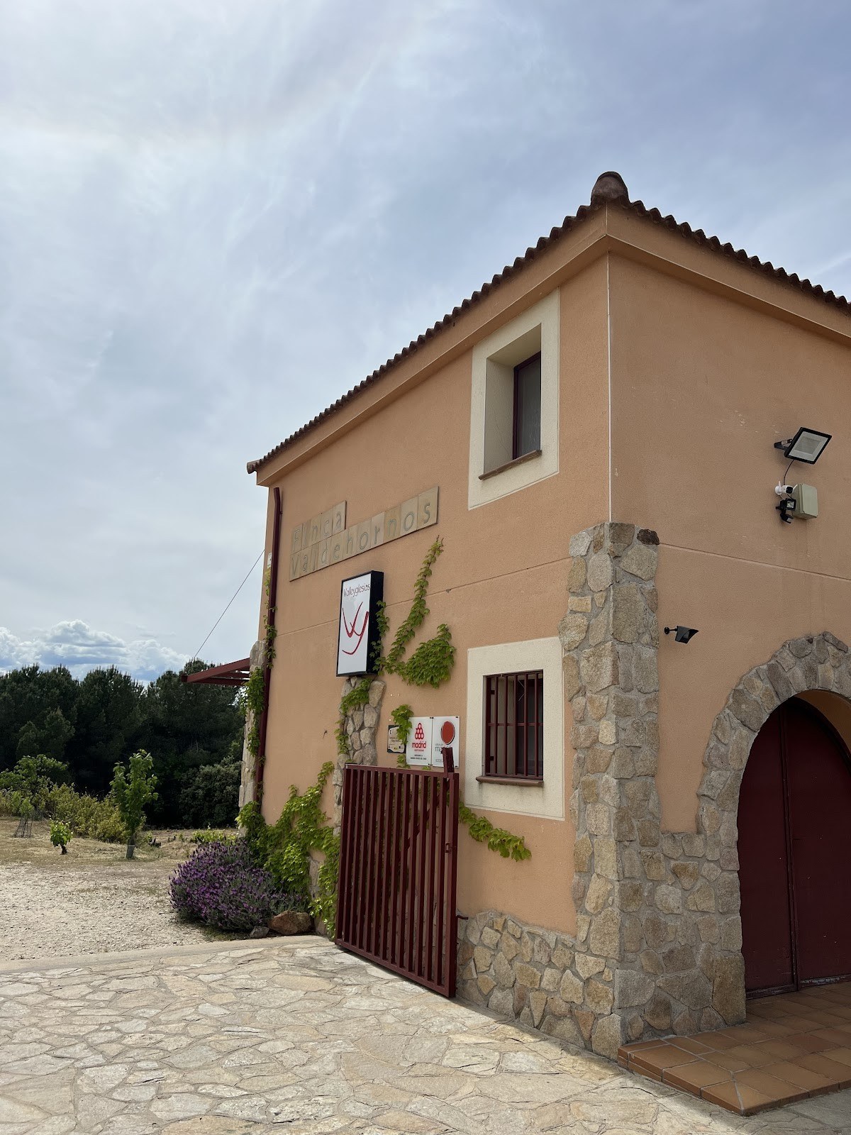 Bodega ValleYglesias