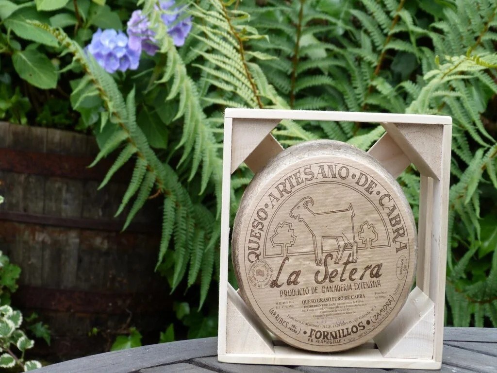Bodega Quesería La Setera