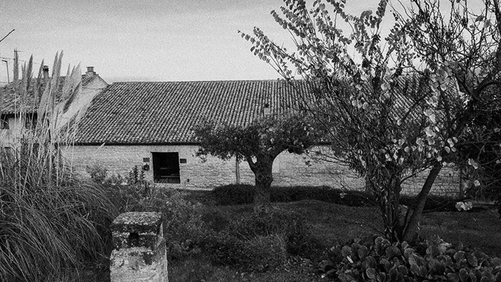 Bodegas Conde de los Andes