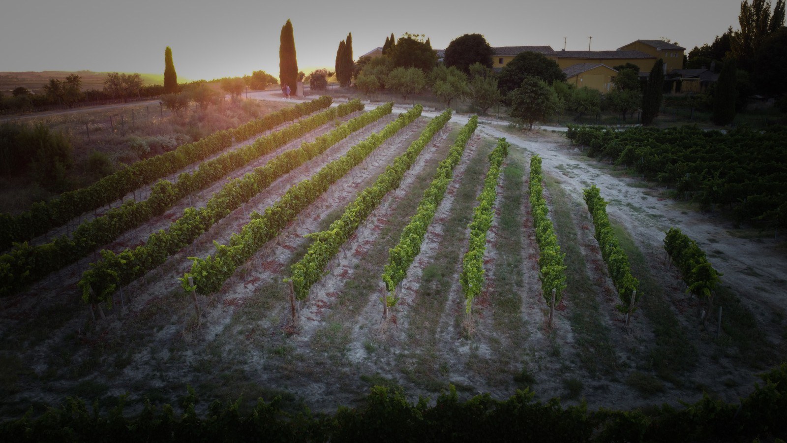 BODEGAS MELER