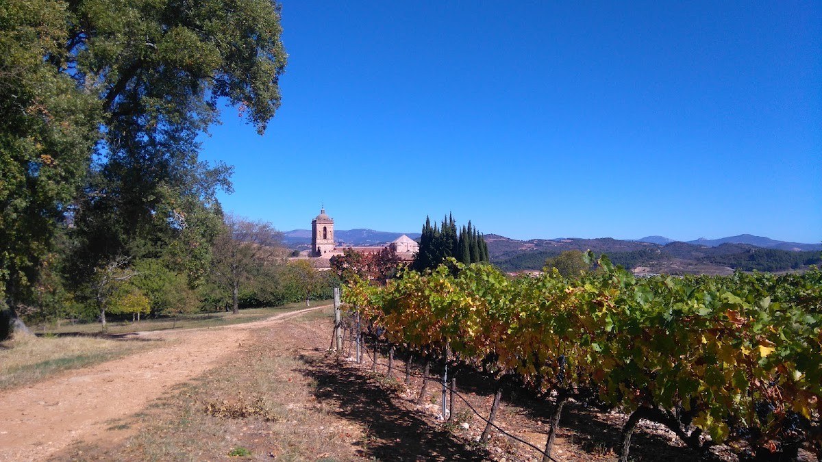 Bodegas Pago de Larrainzar