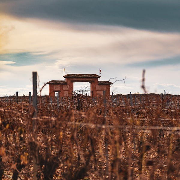 Bodegas Pandora