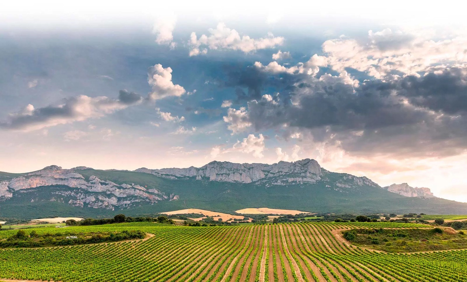 Bodegas Altún
