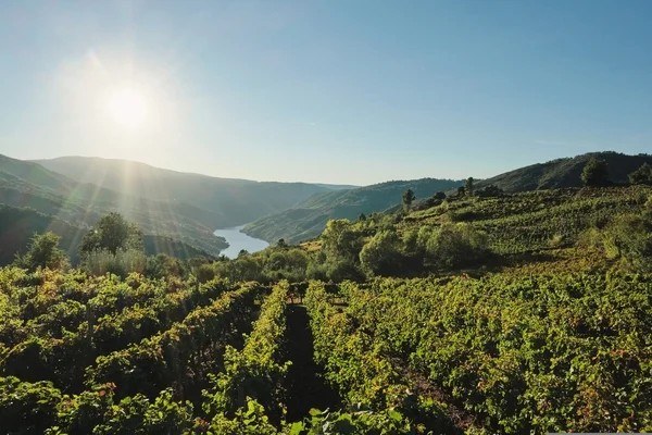 Agrovin Centro | Sistemas y Soluciones Enológicas para Bodegas