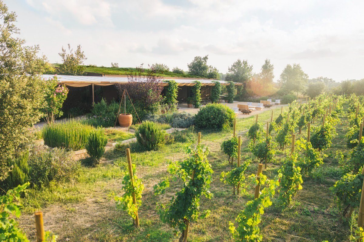 Clos de Basella