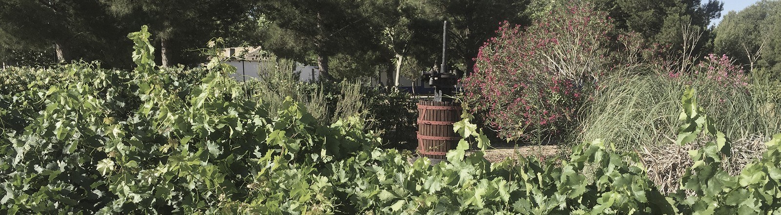 Bodegas Bastida