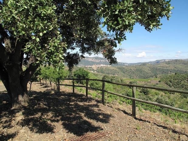 Celler Balaguer i Cabré