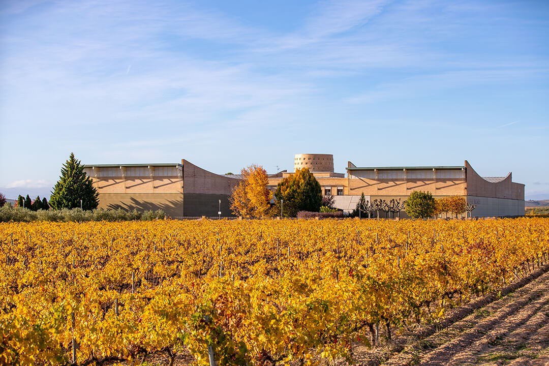 Bodegas Valcarlos