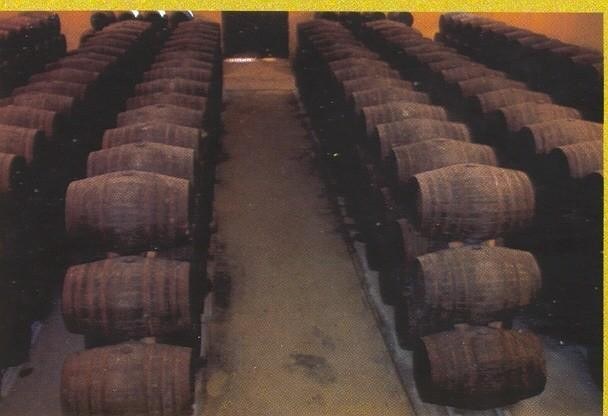 Bodegas Sánchez Real