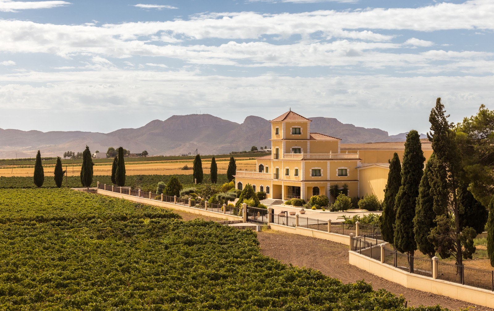 Bodegas Bleda