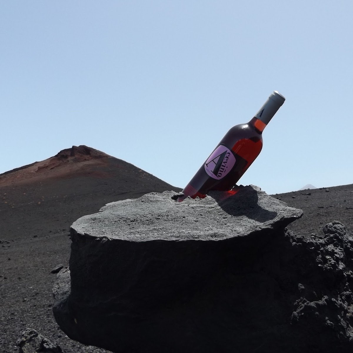 Bodegas Aceviño
