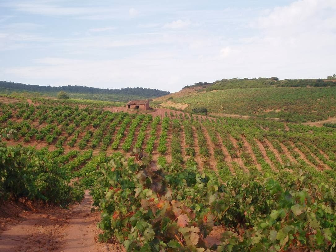 Bodegas Sáenz de Cabezón San Martín