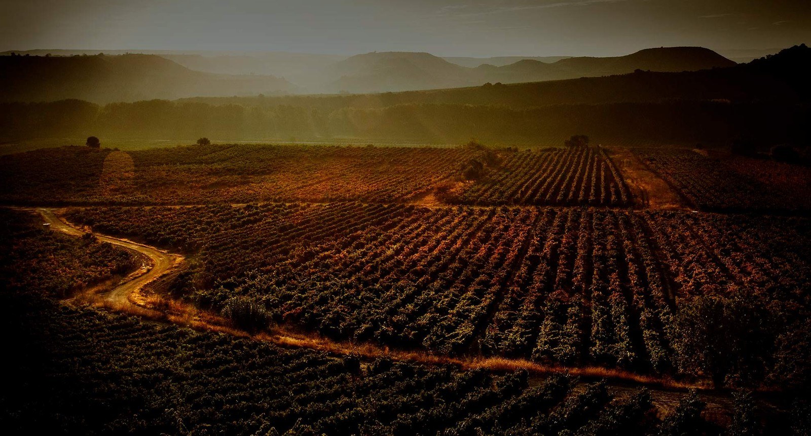 Bodegas Dominio Berzal