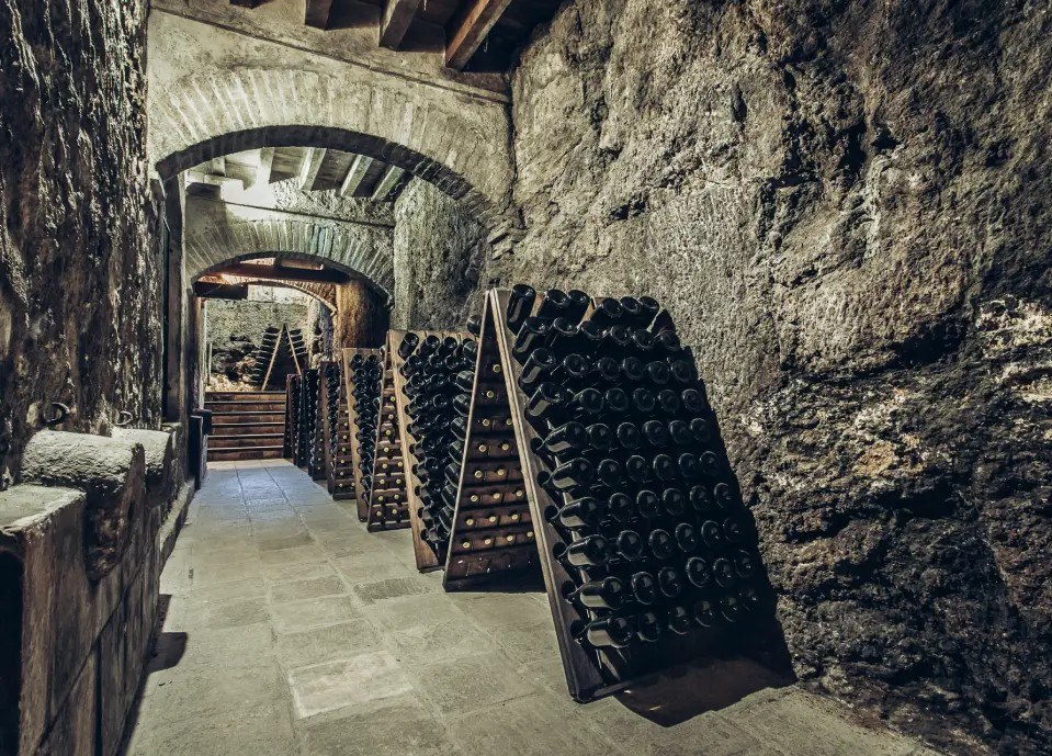 PAGO DE THARSYS Bodega y Viñedos
