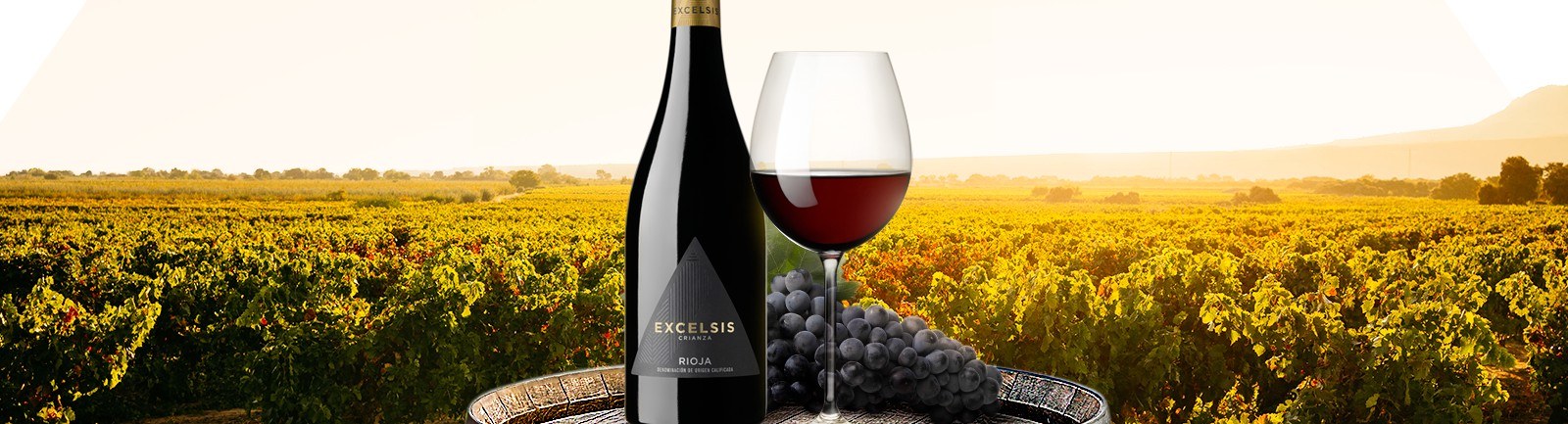 Bodegas Ayuso
