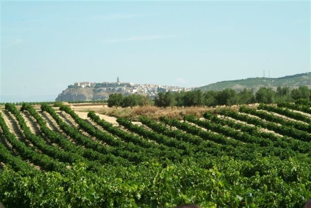 Bodegas ALCONDE