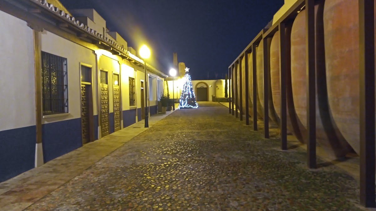 Bodegas A7