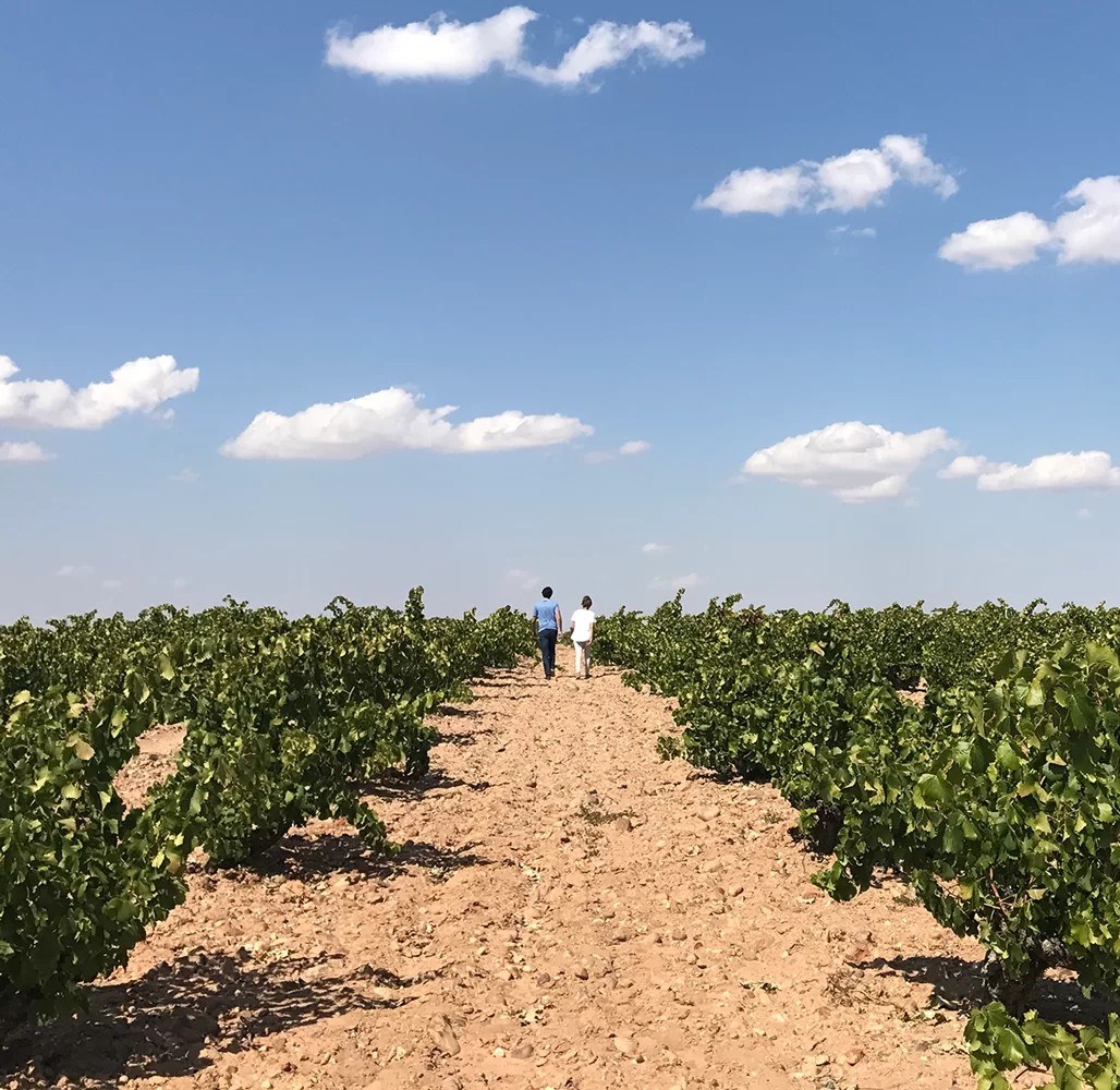Bodegas Prieto Pariente