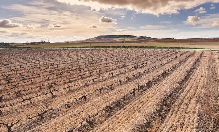 Valtoñar Bodega Ribera del Duero