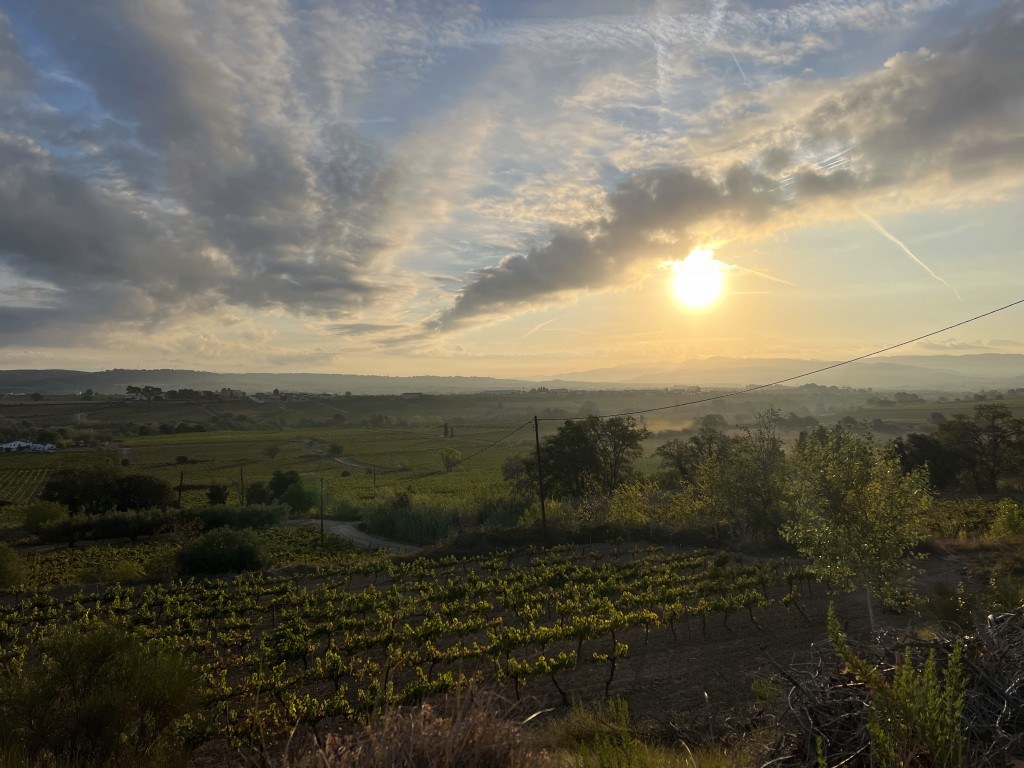Heretat Baltà de Cela