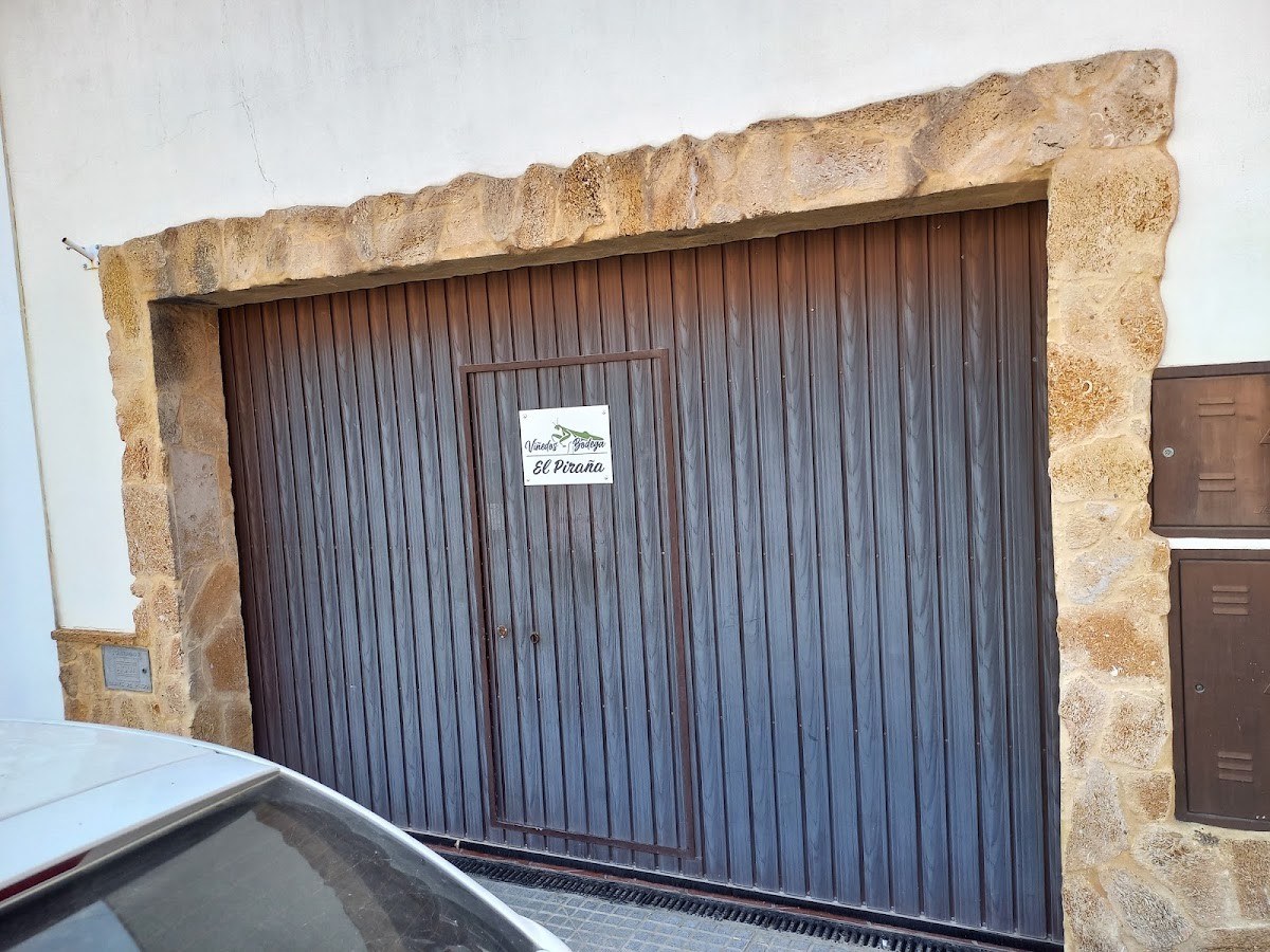 Viñedos - bodega El Piraña