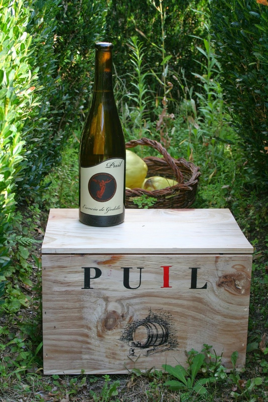 Vinos Puil