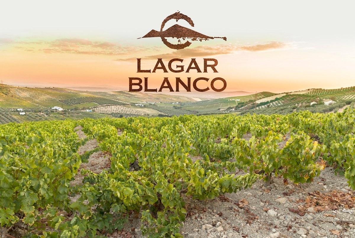Bodegas Lagar Blanco