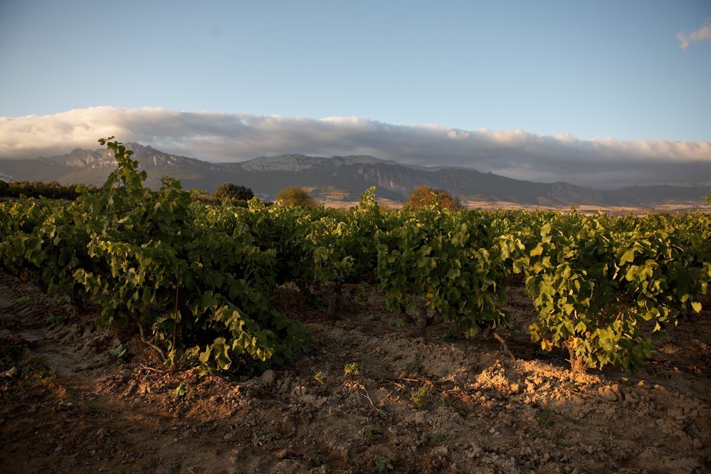Bodegas1808