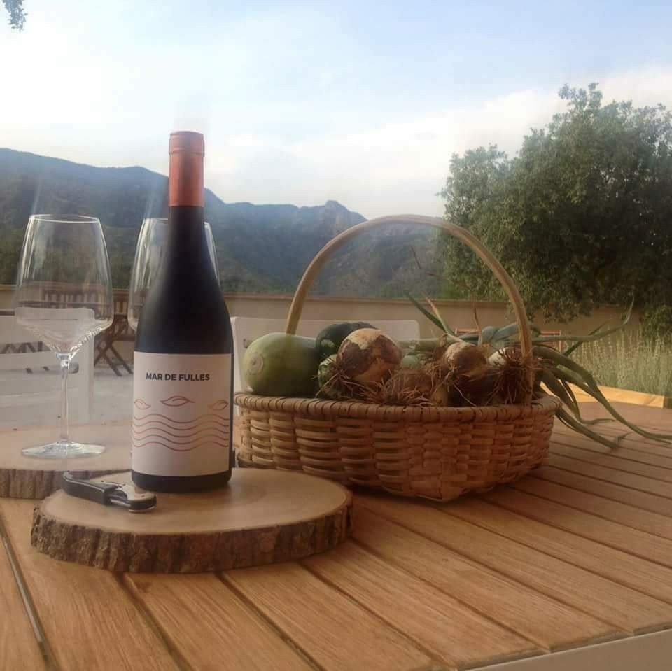 Bodegas Josep Tortosa