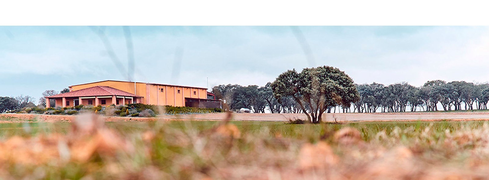 VILE La Finca