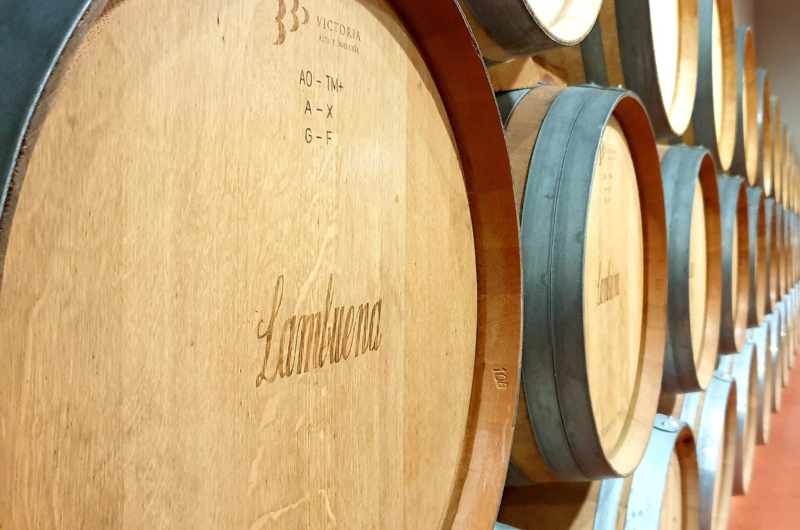 Bodegas Lambuena - Ribera del Duero