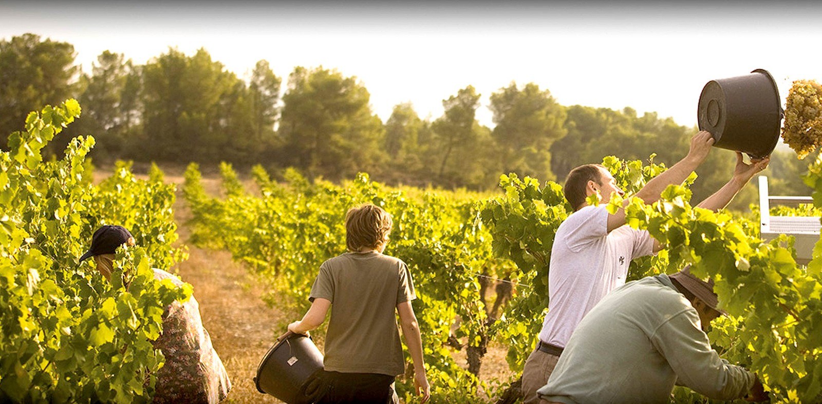 Bodegas Ibaiondo