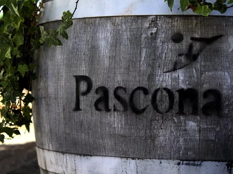 Celler Pascona
