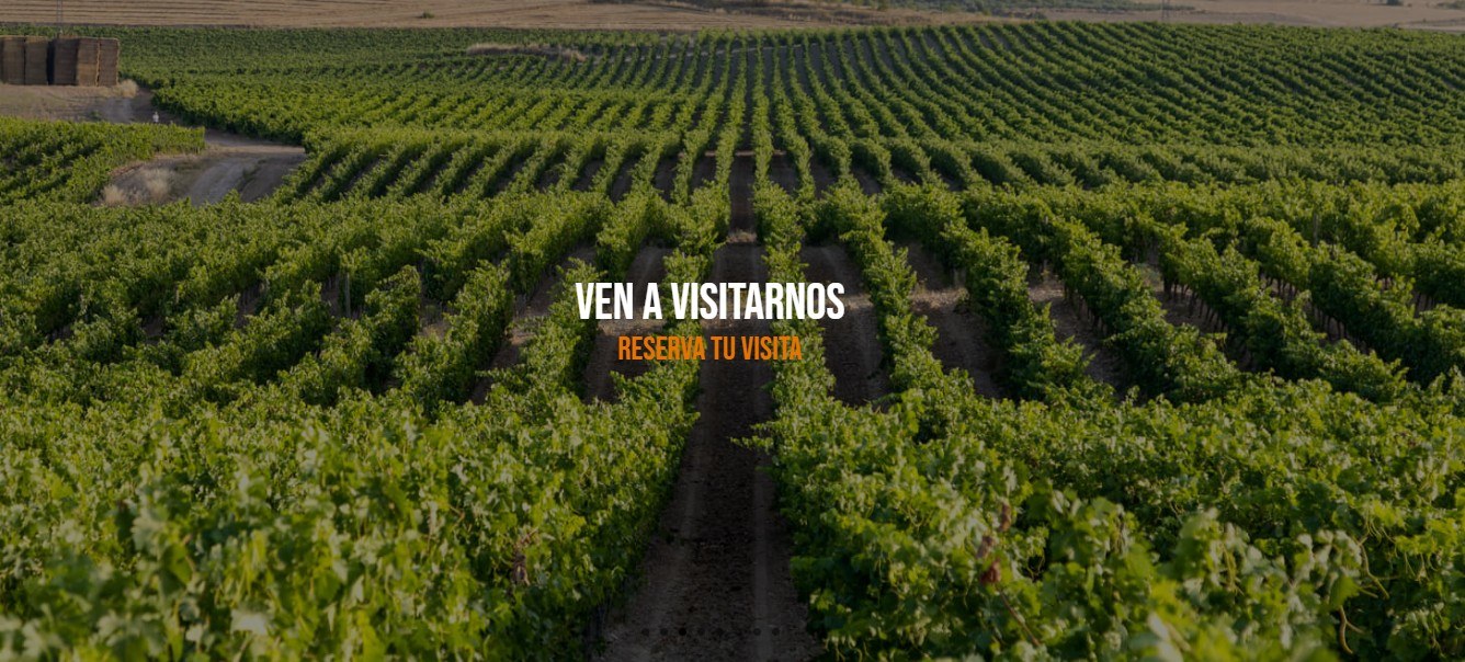 Bodegas Marco Real S.A.