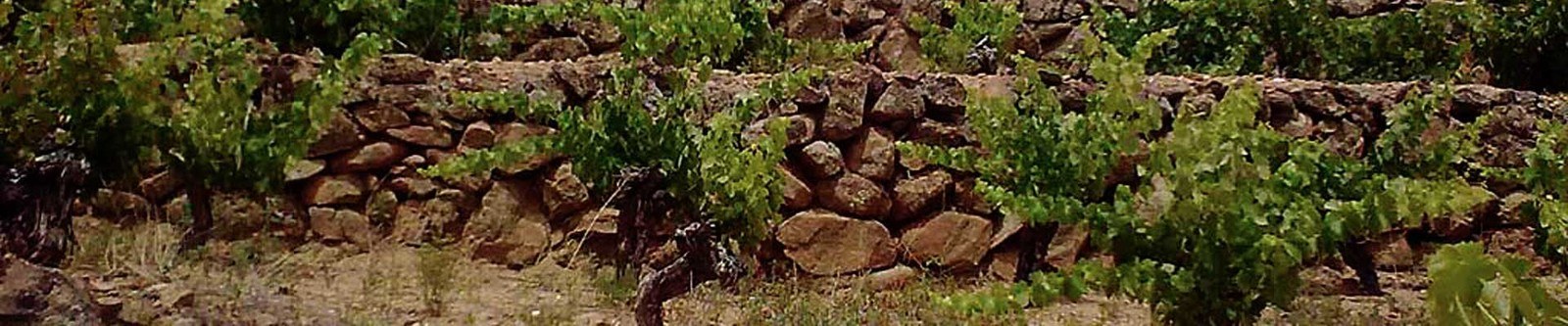 Bodegas Arribes Del Duero