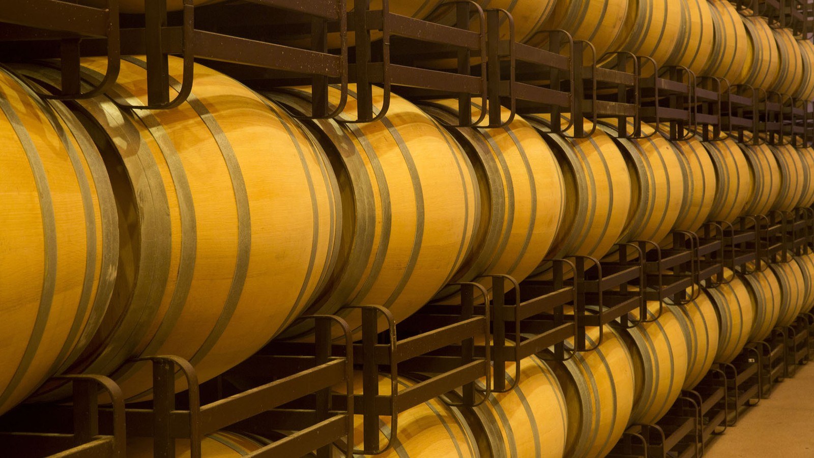 Bodega Pagos del Rey | Rioja
