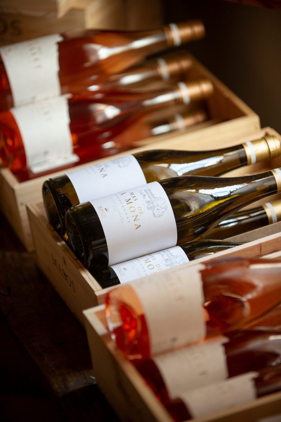 Bodega Masos Guadalest