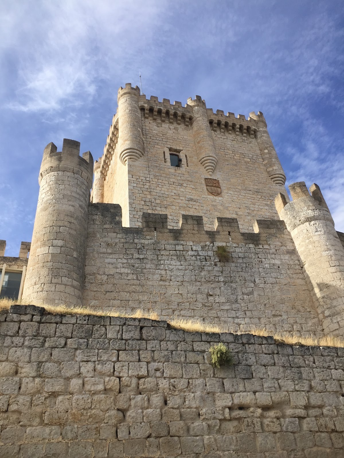 Vinos Rubén Ramos - Bodegas Tierras de Peñafiel