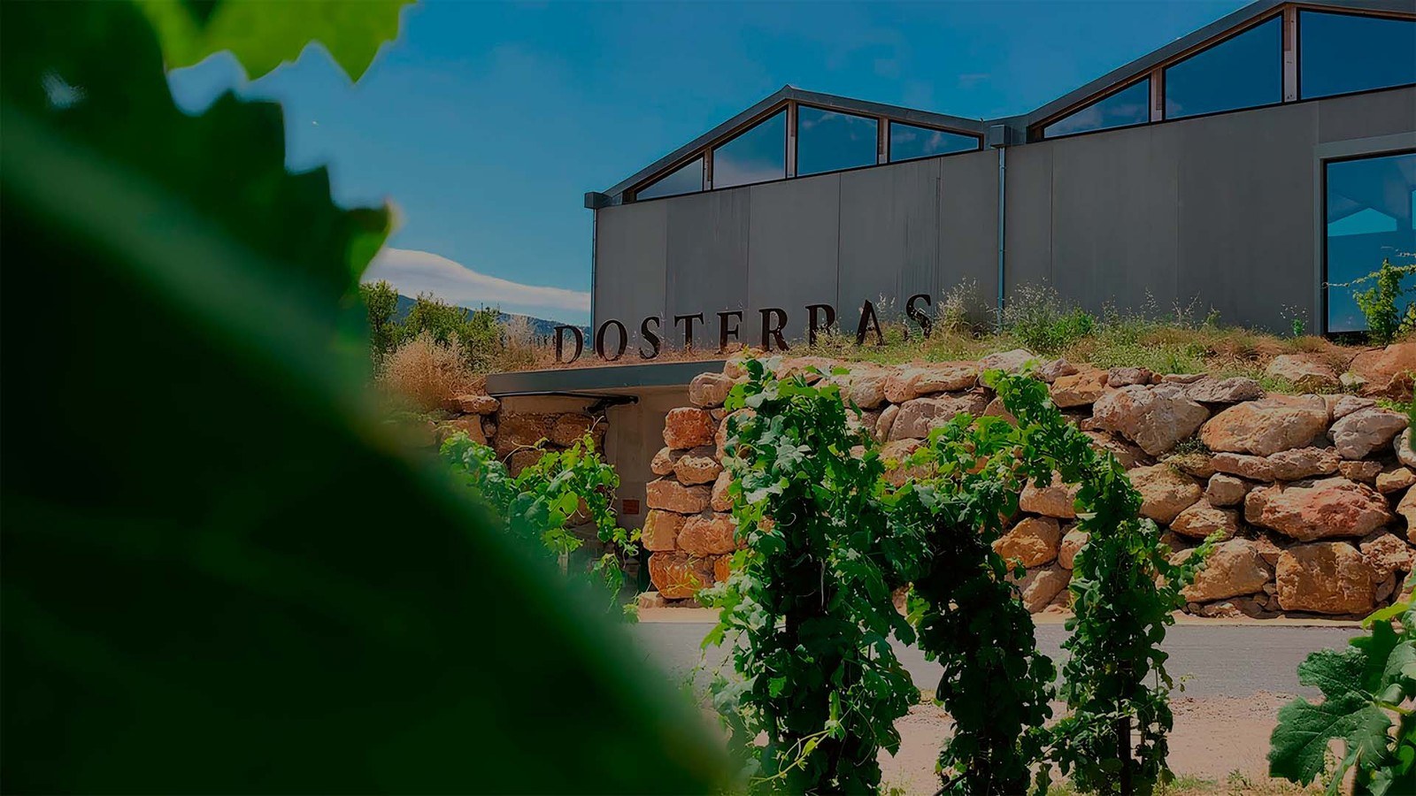 Dosterras
