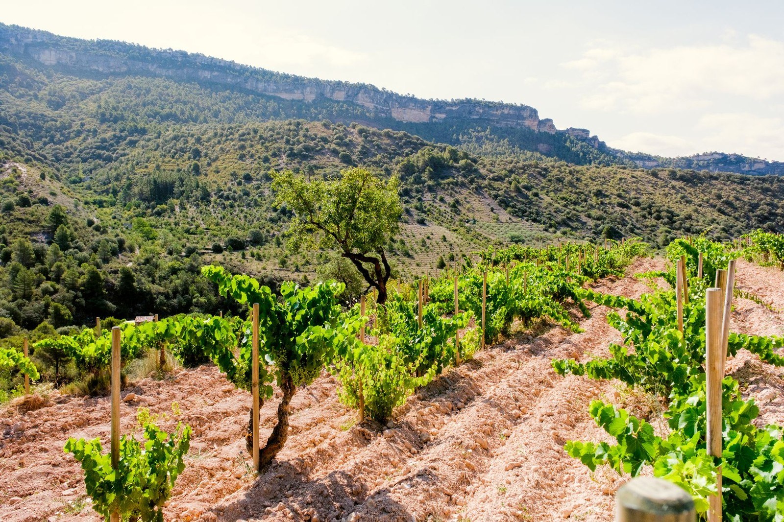 Gritelles Winery